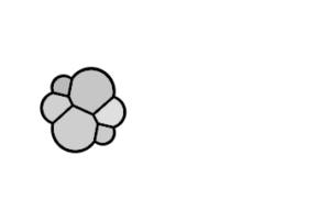 elastic-light