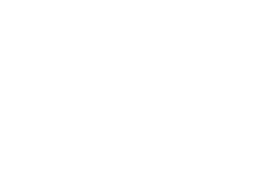nakivo-light